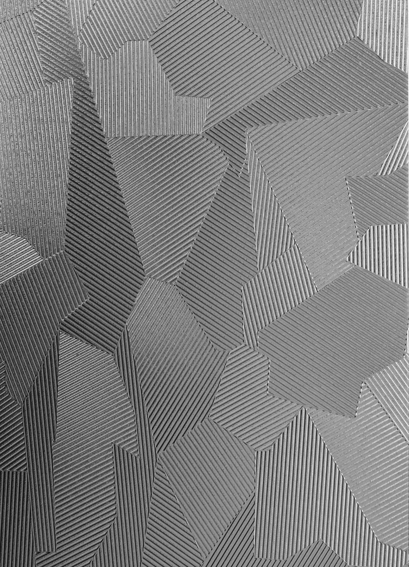 zebra clear zebra clear