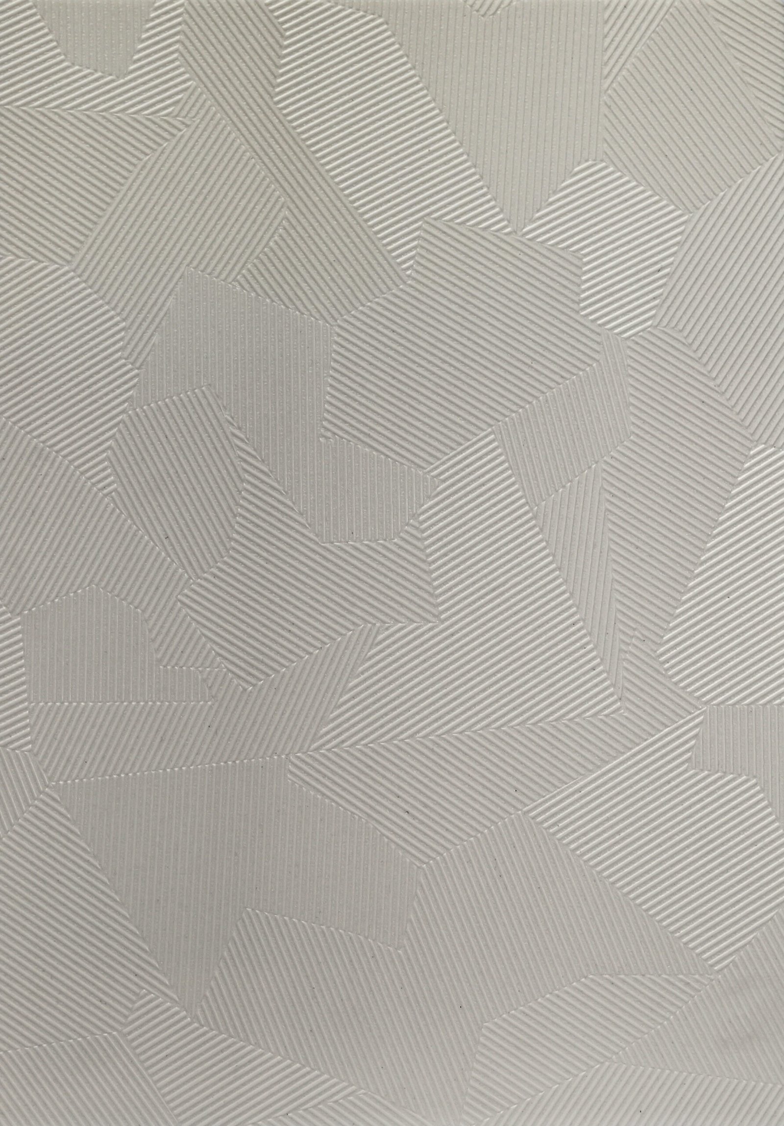 zebra natural zebra natural